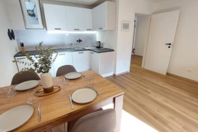Renovated flat close to the centre Merano